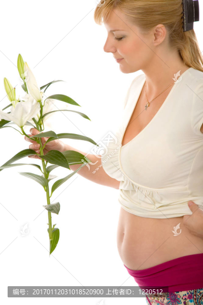 女人與madonna,lily