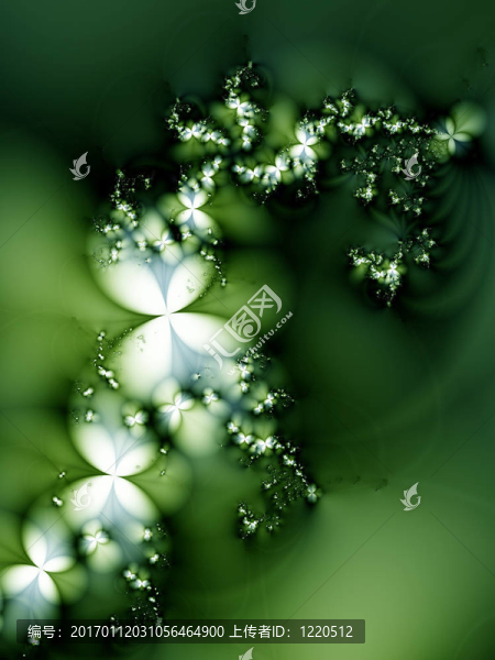 夢(mèng)幻般的花朵