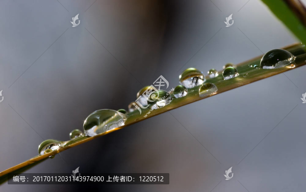 滴