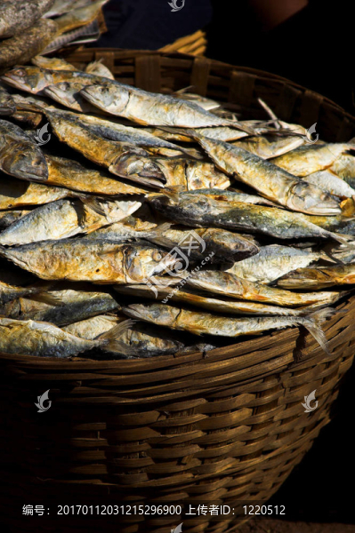 籃子魚(yú)