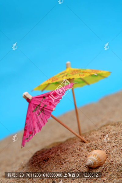 夏天的雨傘