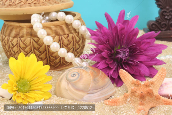 花和海貝殼