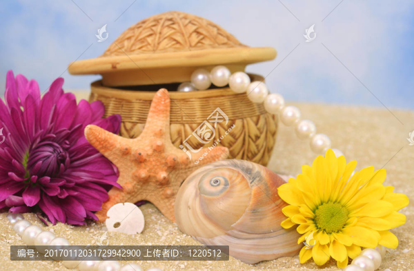 海貝殼與Flowers