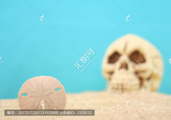 顱骨沙美元