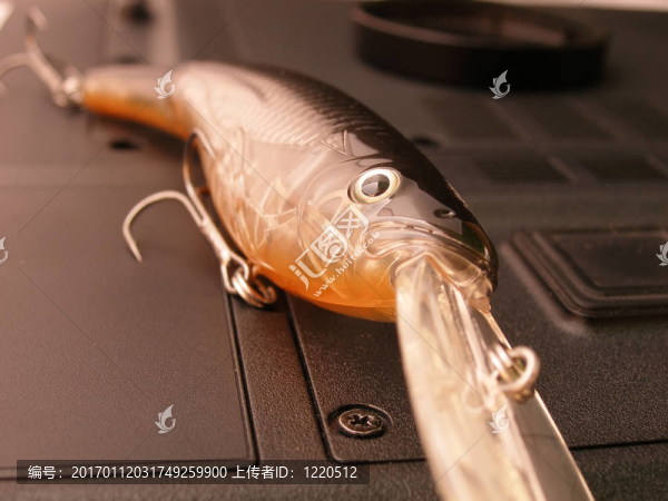 黃棕色的魚餌特寫鏡頭