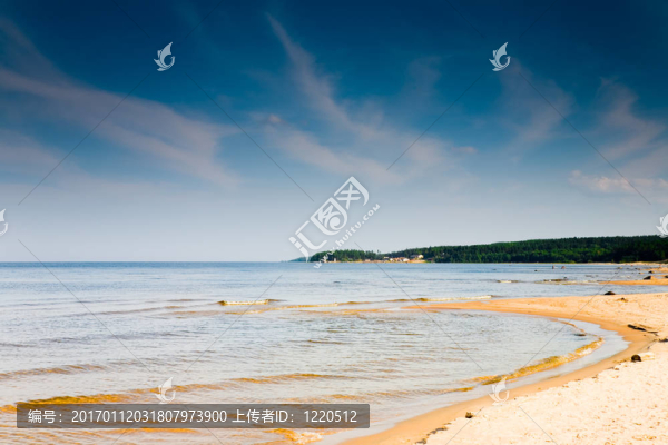 海岸