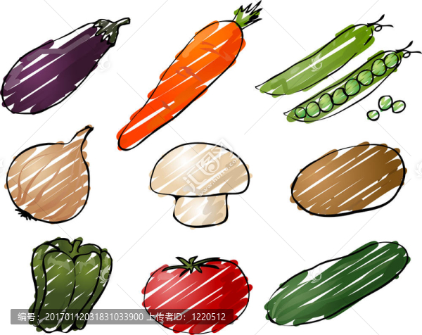 蔬菜的插圖