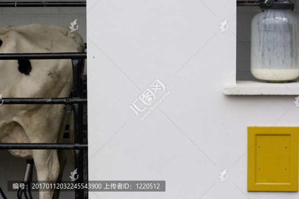 奶牛和牛奶壺
