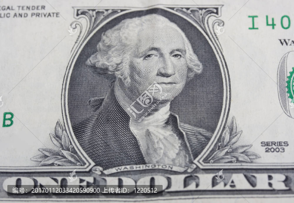 美元的鈔票
