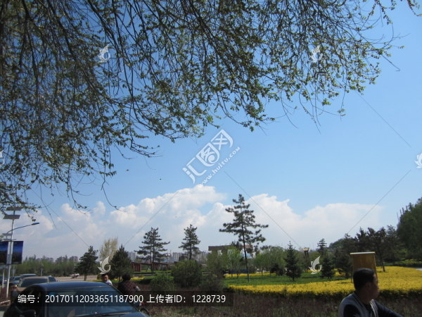 呼和浩特市南湖濕地公園風(fēng)景