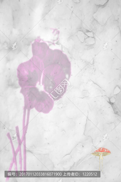 罌粟花