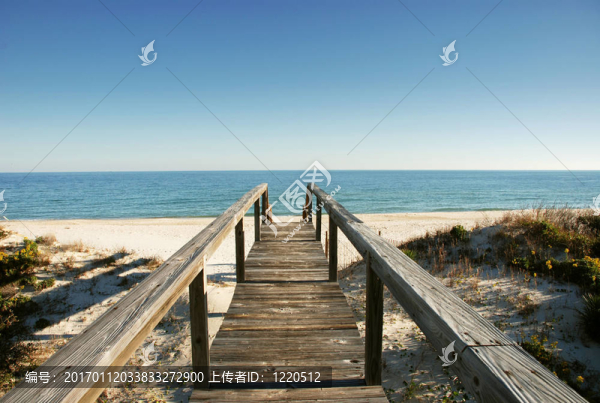 在海邊木棧道