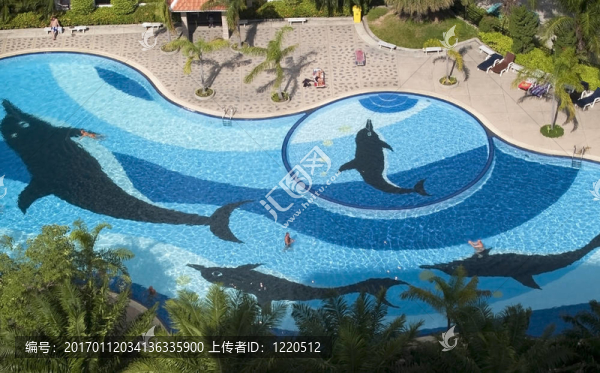 游泳池的空中觀