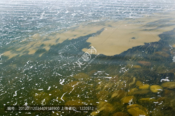 水華