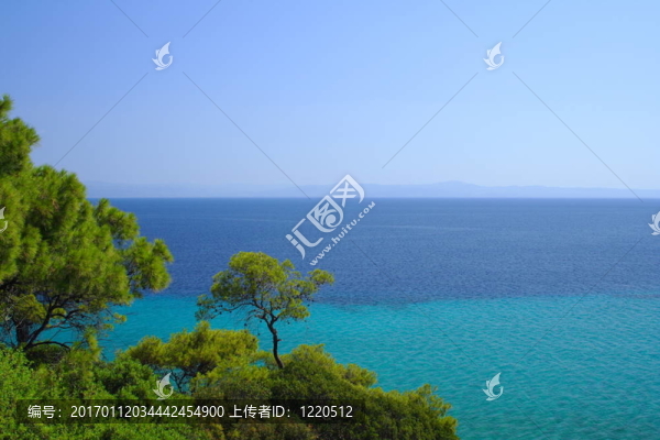 樹和海