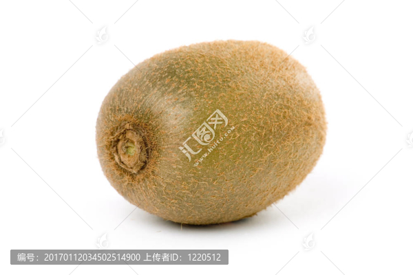 幾維鳥(niǎo)