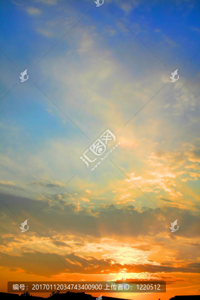 太陽集