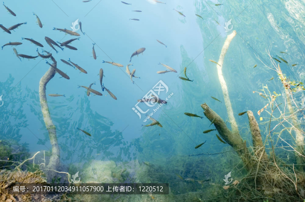 銀行