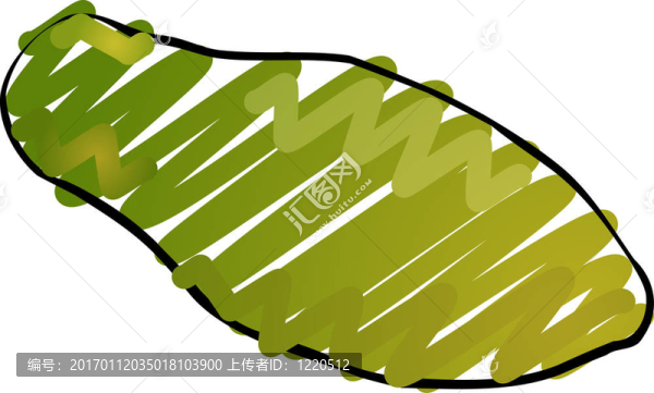 番木瓜