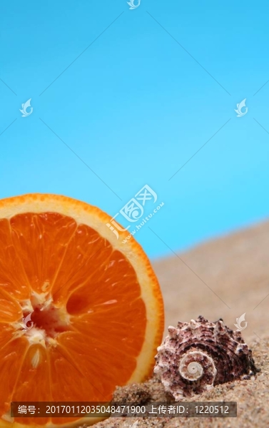 夏天的水果
