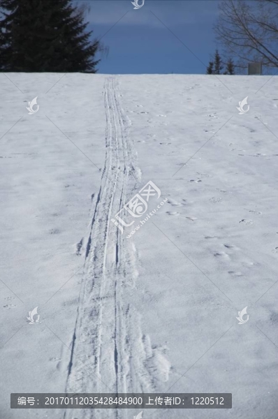 滑雪道