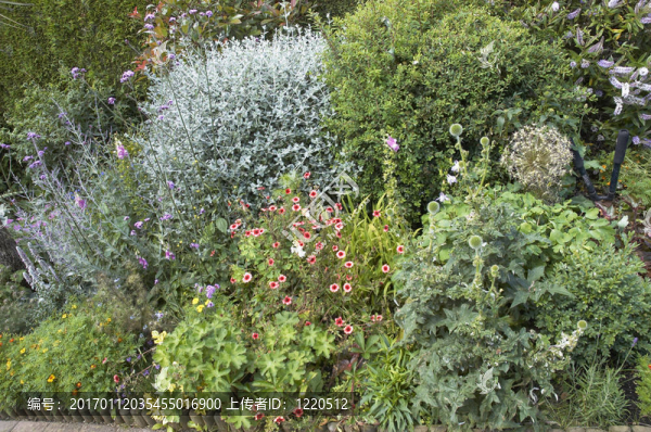 村舍花園