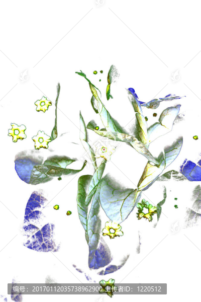 花摘要