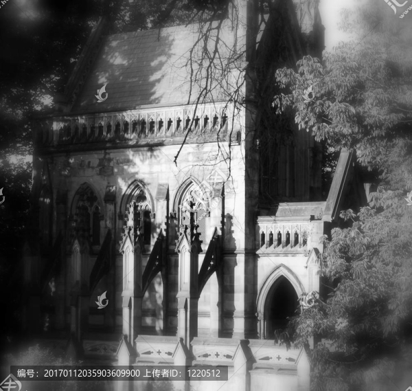 怪異的哥特式隱窩