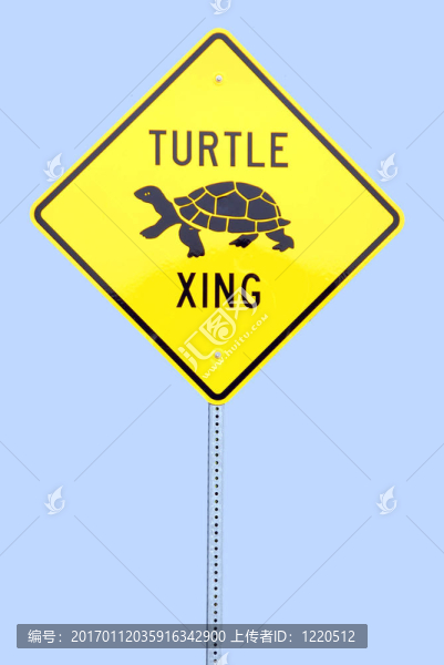烏龜?shù)揽跇酥? title=