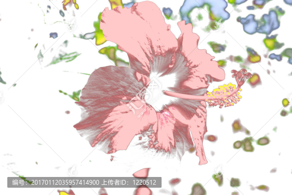 花摘要