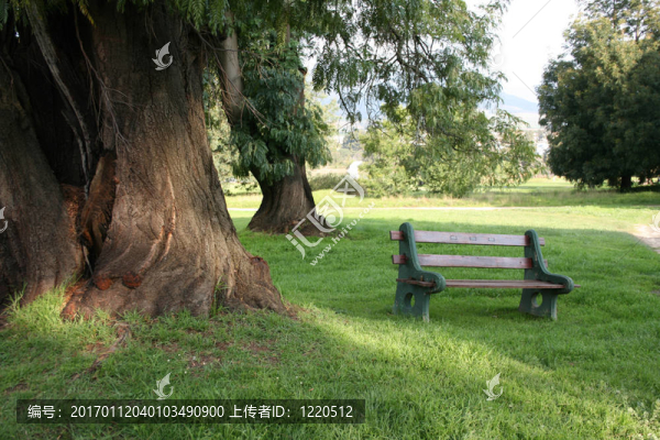 臺(tái)