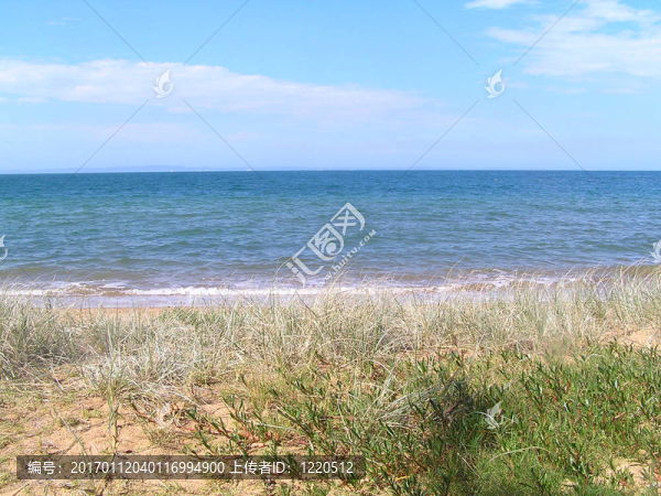草duned海灘-匯圖網(wǎng) www.fosd68.com 草duned海灘