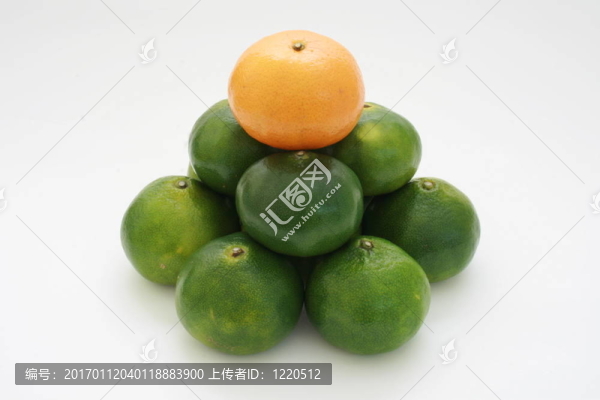 柑橘金字塔