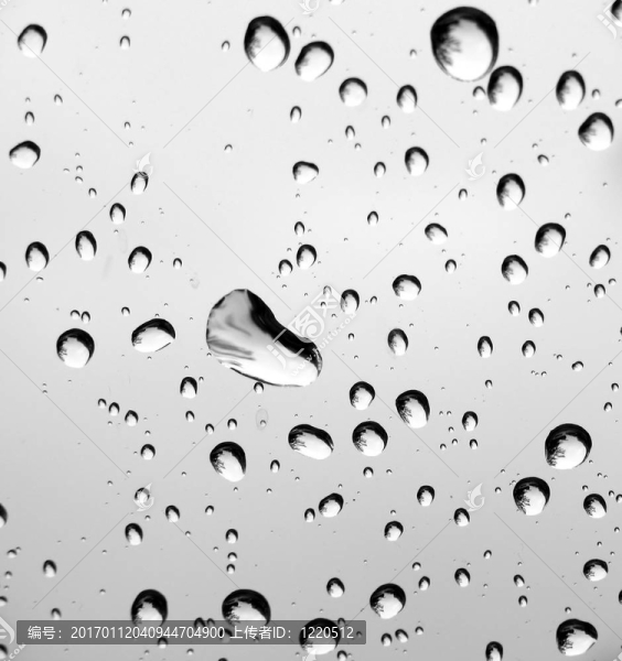 雨滴特寫