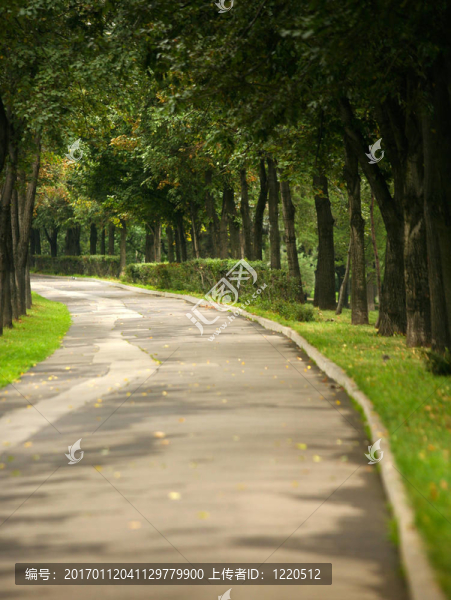 巷-匯圖網(wǎng) www.fosd68.com 巷