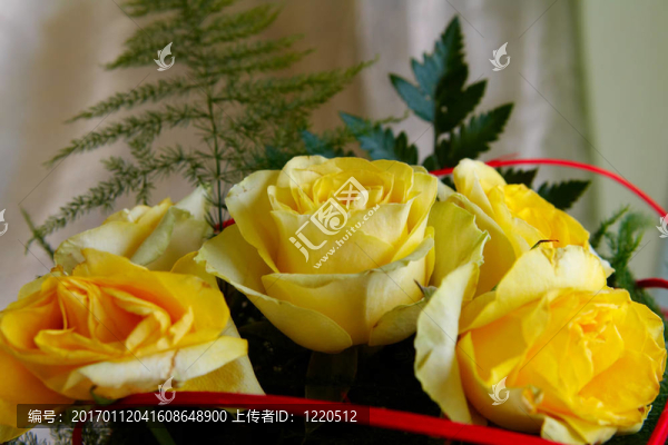 黃玫瑰