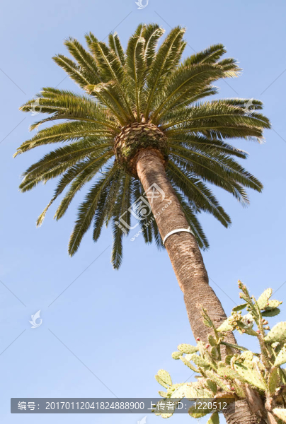 手掌在藍(lán)天上