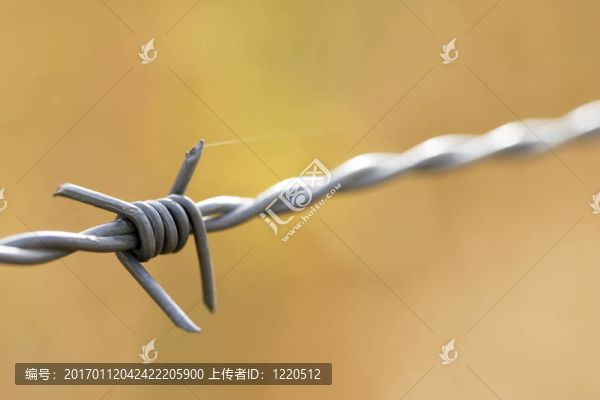 鐵絲網(wǎng)