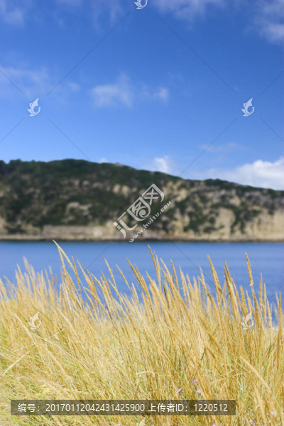 藍(lán)色的海灣