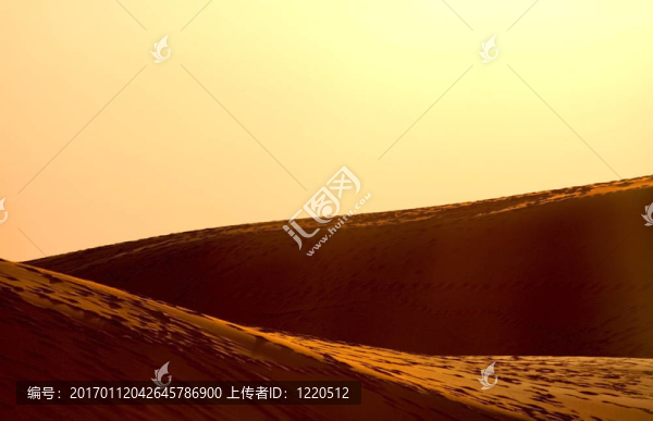 沙漠