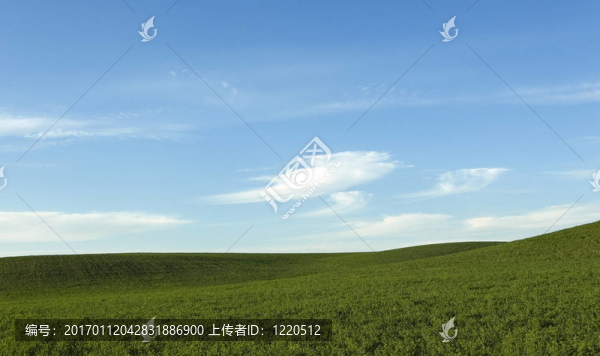 夏天的田野