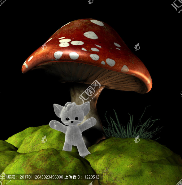 蘑菇泰迪