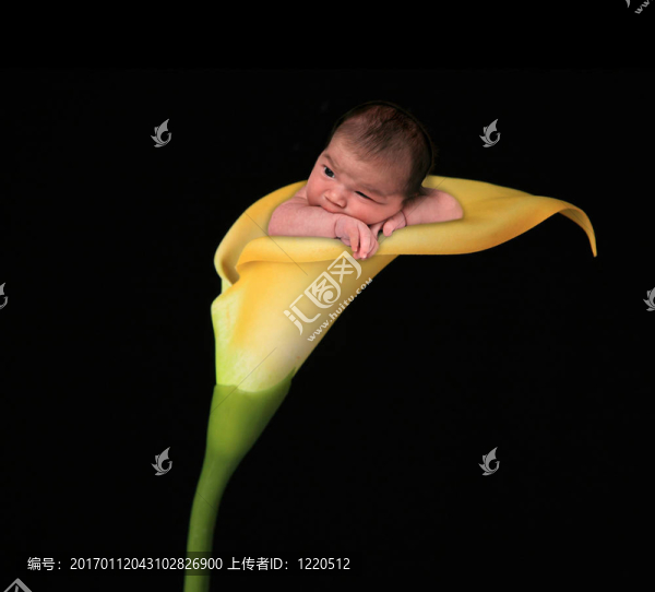 嬰兒的女孩在百合花