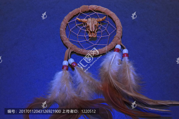 夢的捕手