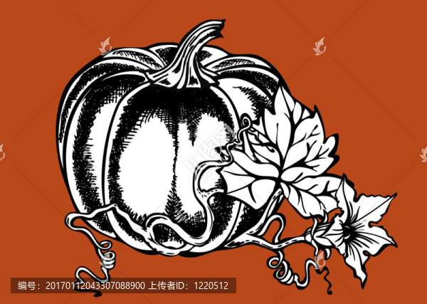大南瓜