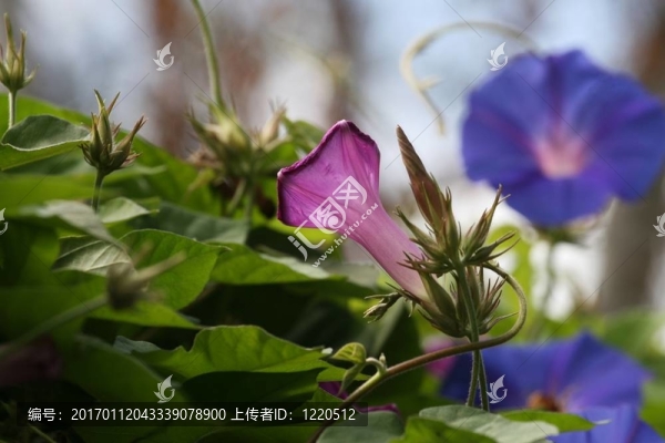 牽?；? title=