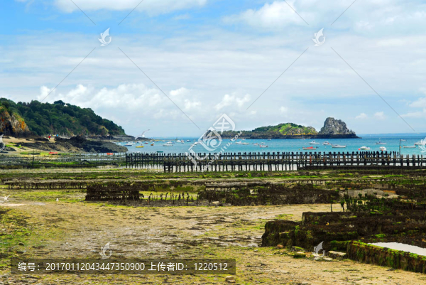 在康卡勒法國(guó)的牡蠣；