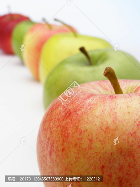 紅蘋(píng)果和綠蘋(píng)果