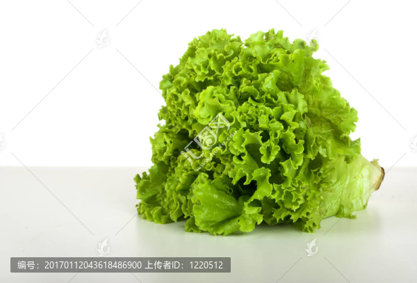 生菜-匯圖網(wǎng) www.fosd68.com 生菜