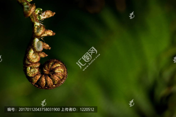 附近的2